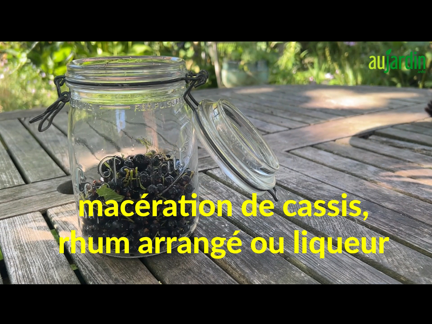Alcool de cassis en liqueur ou en rhum arrangé, à vous de choisir ...
